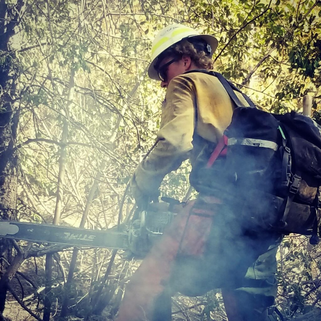 GFP Wildfire Personnel Firefighter With Chainsaw